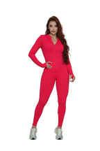 Enterizo largo cierre manga larga hueco atras Ref.430 PU